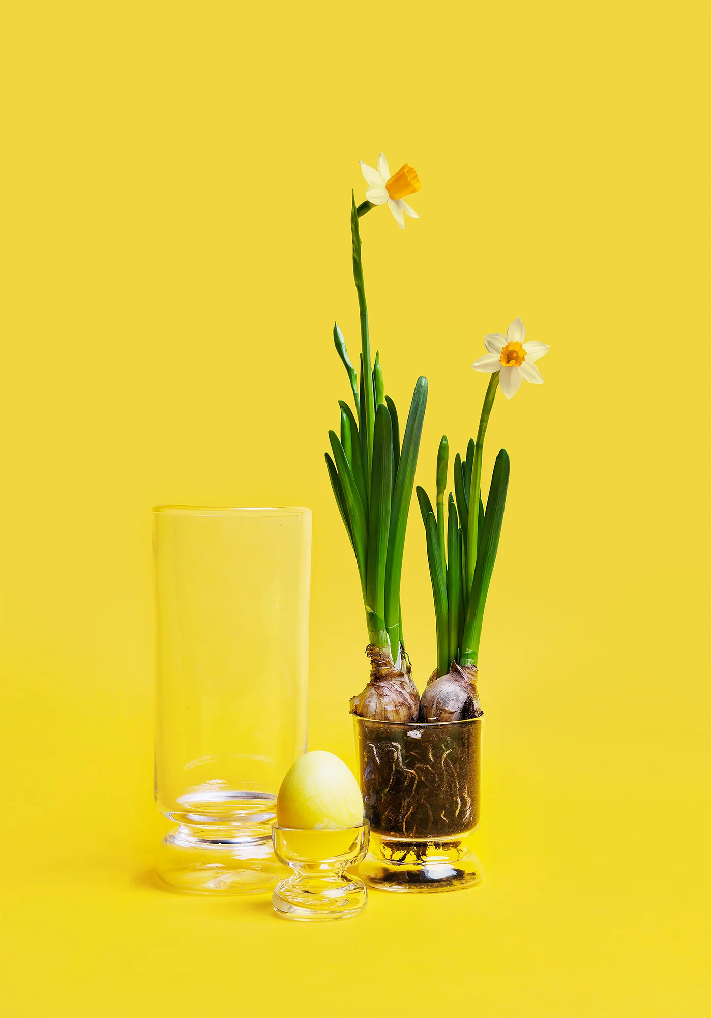 Miniatyrbild 2